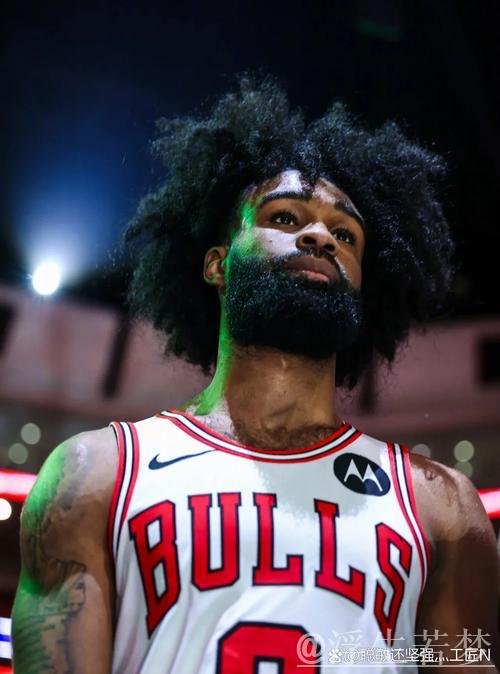 怀特砍下28分 公牛主场力擒猛龙